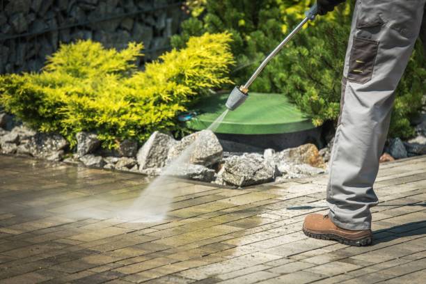 Best Animal Enclosure Cleaning  in Andrews, TX